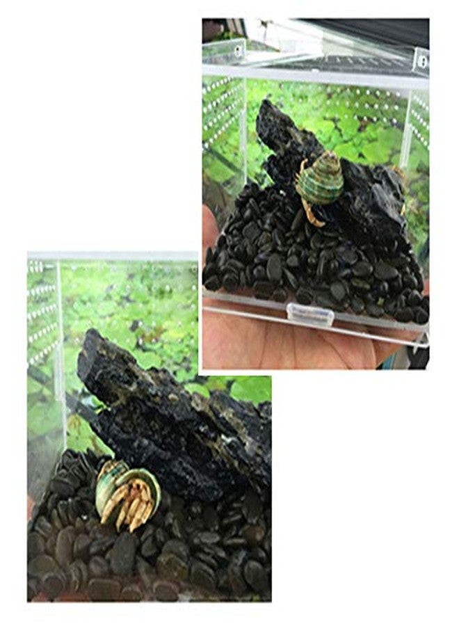 La La Pet® Acrylic Transparent Reptiles Terrarium Spider Breeding Box for Lizard Bearded Dragon Frog Chameleon Geckos Snails Hermit Crabs - Image 4